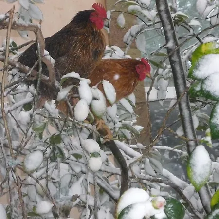 麦森杜彻维瑞酒店