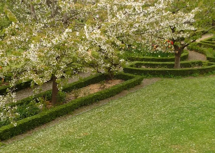 Bed & Breakfast Maison Duchevreuil Cherbourg-en-Cotentin