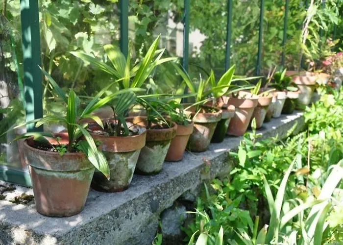 Bed & Breakfast Maison Duchevreuil